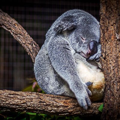 Um180Grad_Copywriting_Angebote