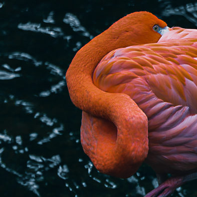 Um180Grad_Salespage_Angebote